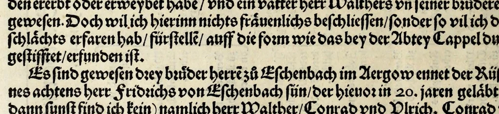 An illustration from Gemeiner loblicher Eydgnoschafft Stetten, Landen vnd Völckeren Chronick wirdiger Thaaten Beschreybung : hieriñ wirt auch die Gelegenheit der gantzen Europe : item ein kurtzuer griffne Chronica Germanie oder Teütschlands : in sonders aber ein fleyssige histori vnd ordenliche Beschreybung Gallie oder Franckrychs fürgestellt : darauff deñ obgedachte der Eydgnoschafft Beschreybung volget ..., 1548, leaf 546
