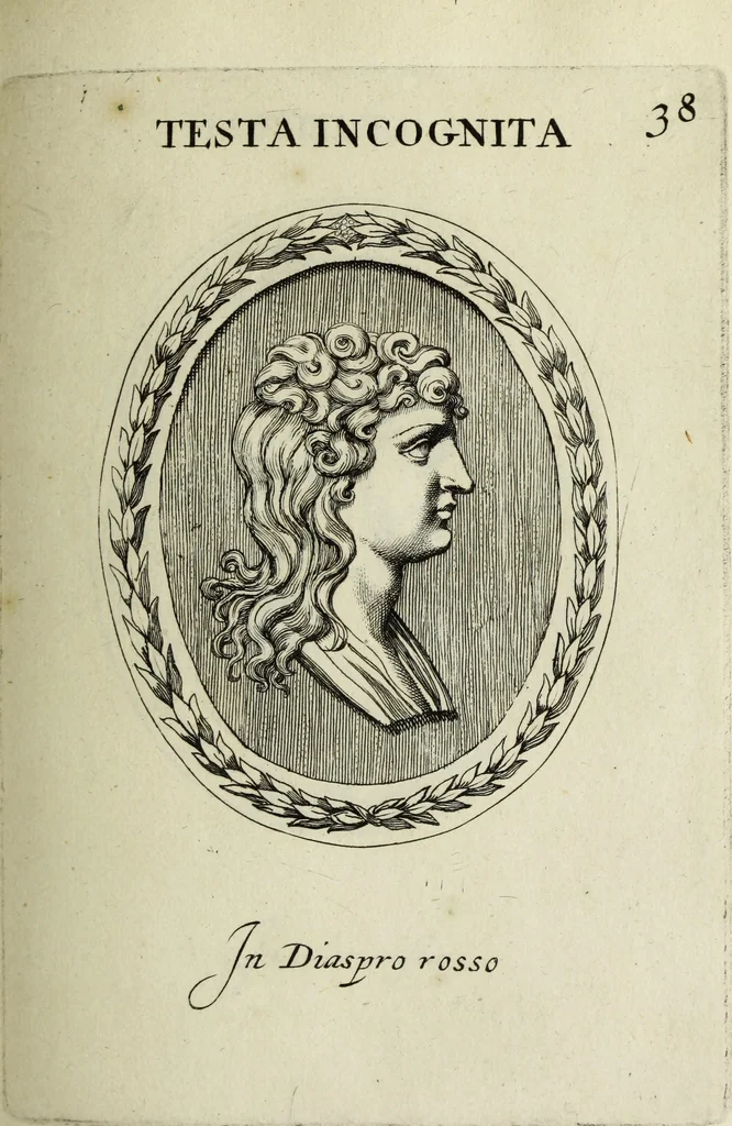 An illustration from Gemmae et sculpturae antiquae, 1694, leaf 208