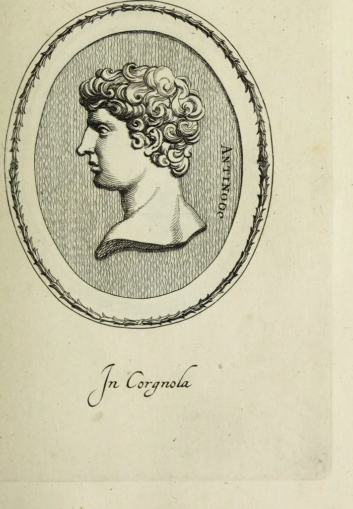 An illustration from Gemmae et sculpturae antiquae, 1694, leaf 212