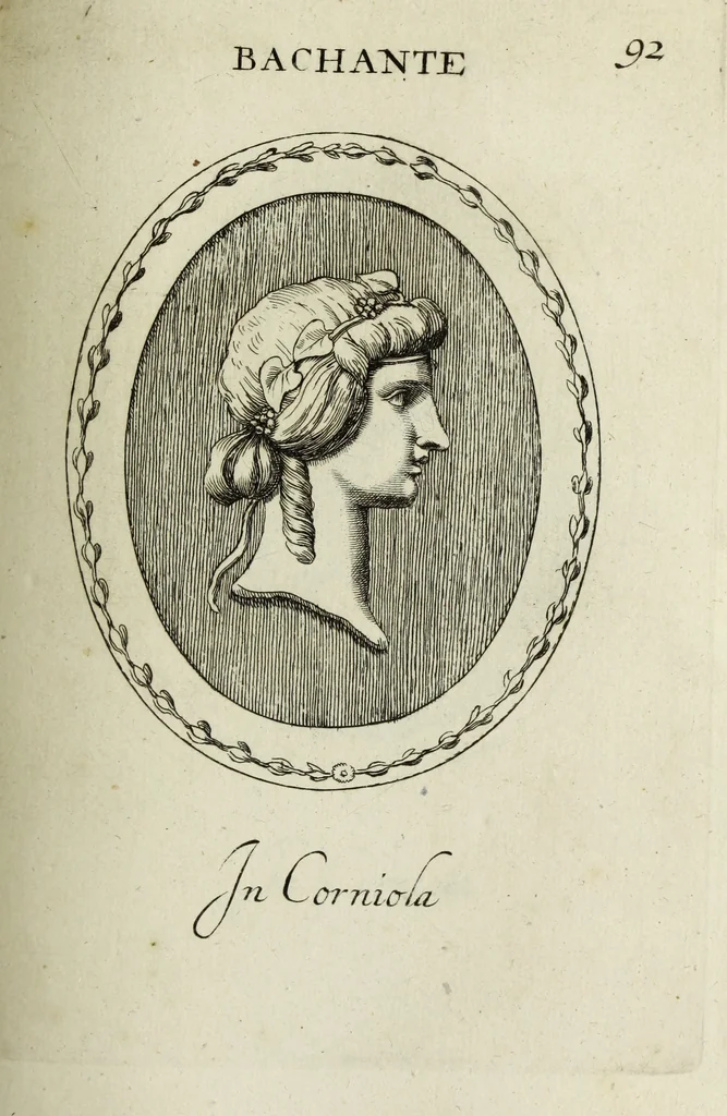 An illustration from Gemmae et sculpturae antiquae, 1694, leaf 316