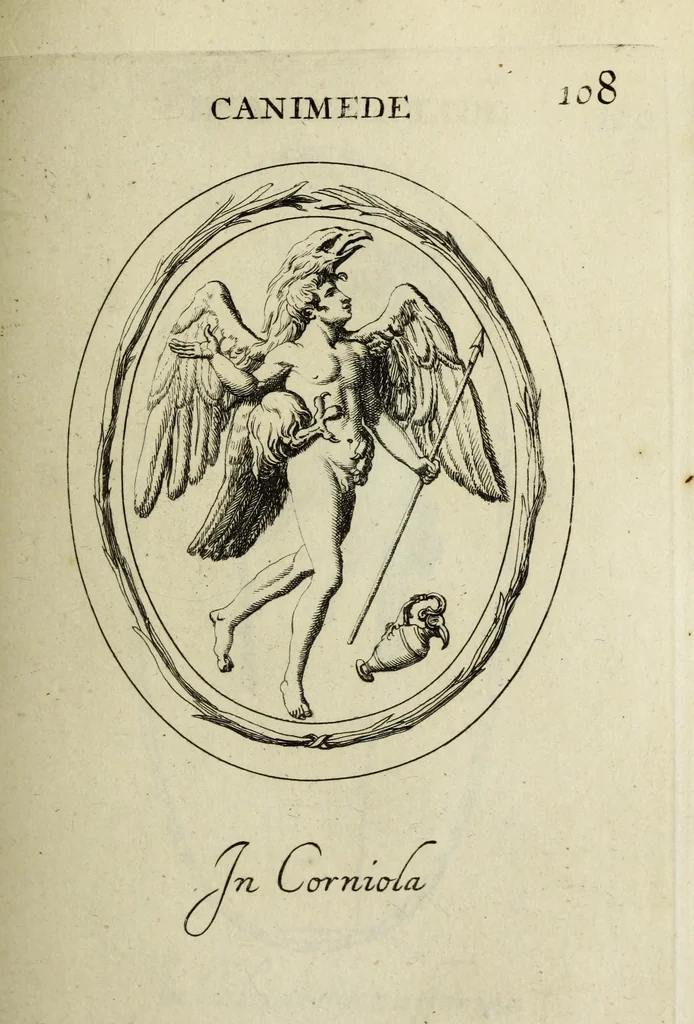 An illustration from Gemmae et sculpturae antiquae, 1694, leaf 348