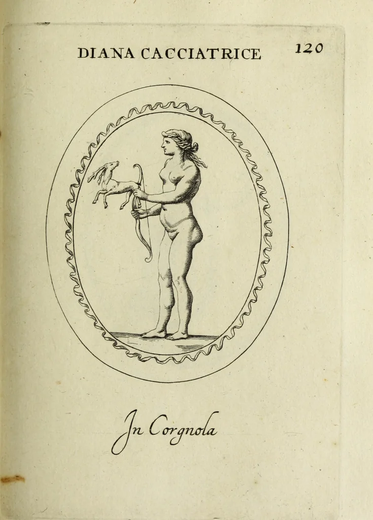 An illustration from Gemmae et sculpturae antiquae, 1694, leaf 372