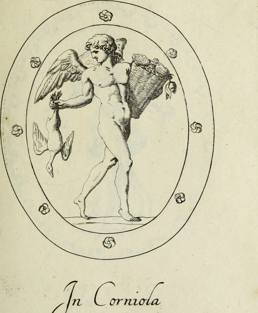 An illustration from Gemmae et sculpturae antiquae, 1694, leaf 426