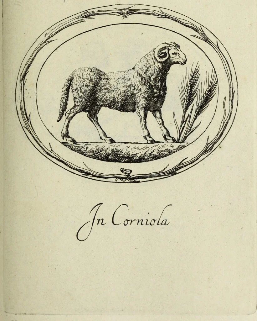 An illustration from Gemmae et sculpturae antiquae, 1694, leaf 482