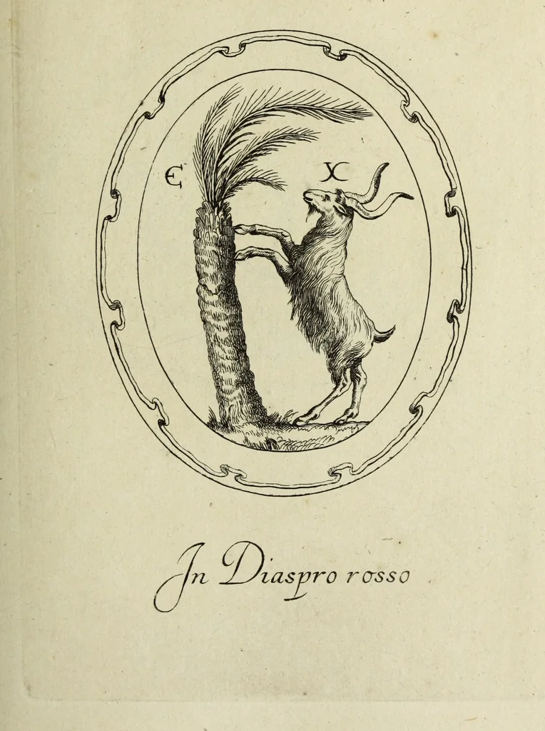 An illustration from Gemmae et sculpturae antiquae, 1694, leaf 486