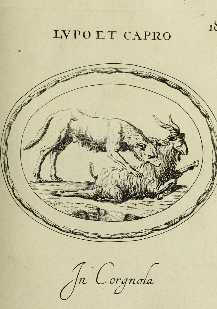 An illustration from Gemmae et sculpturae antiquae, 1694, leaf 496