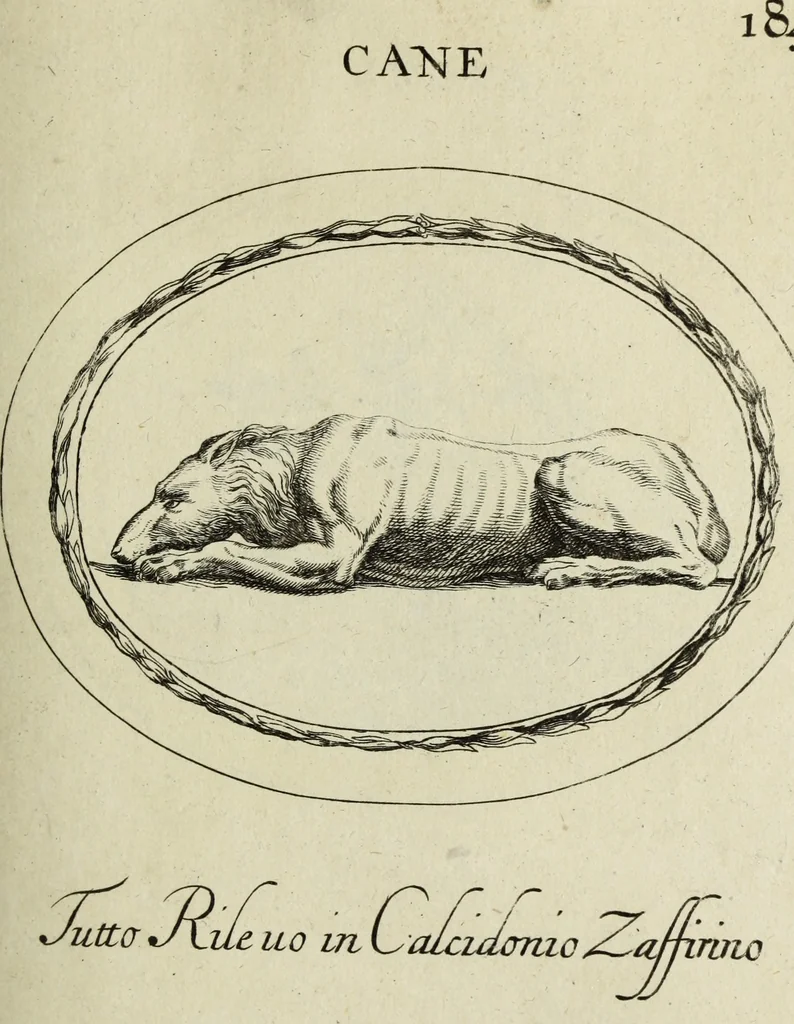 An illustration from Gemmae et sculpturae antiquae, 1694, leaf 500
