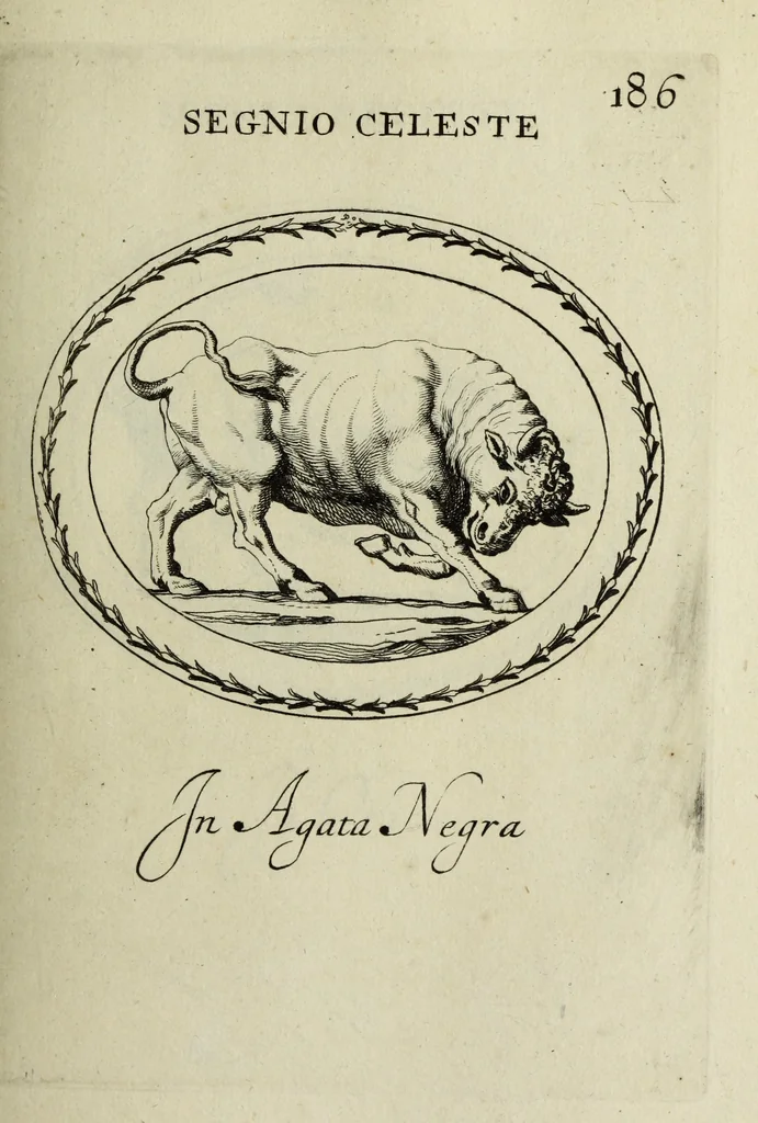 An illustration from Gemmae et sculpturae antiquae, 1694, leaf 504