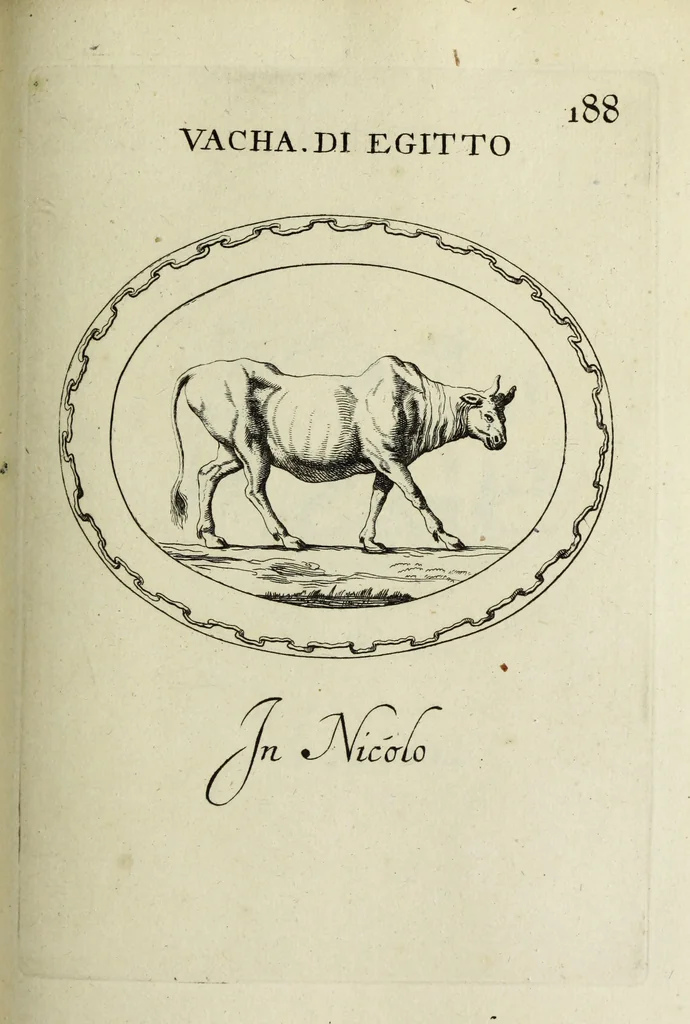 An illustration from Gemmae et sculpturae antiquae, 1694, leaf 508