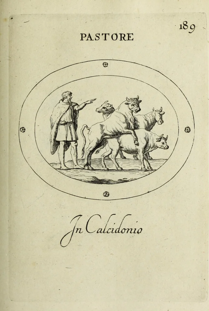 An illustration from Gemmae et sculpturae antiquae, 1694, leaf 510