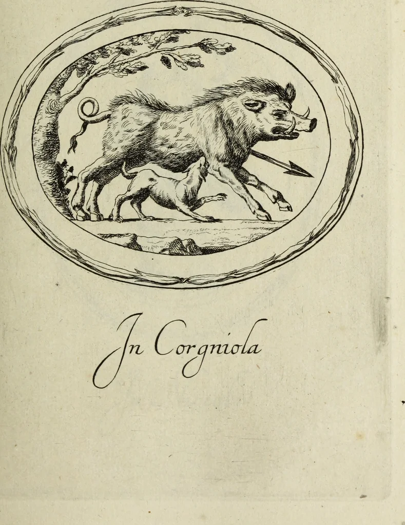 An illustration from Gemmae et sculpturae antiquae, 1694, leaf 520