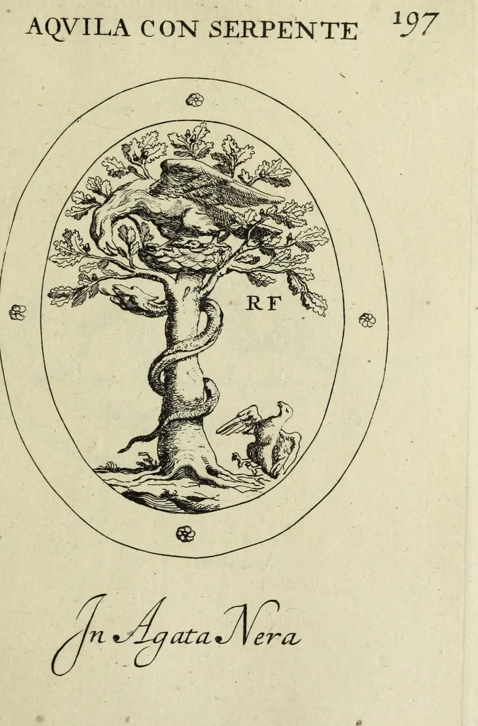 An illustration from Gemmae et sculpturae antiquae, 1694, leaf 526