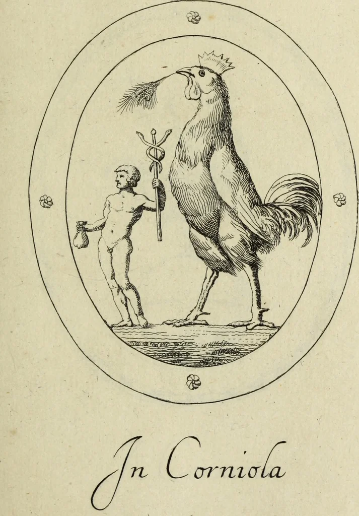 An illustration from Gemmae et sculpturae antiquae, 1694, leaf 530