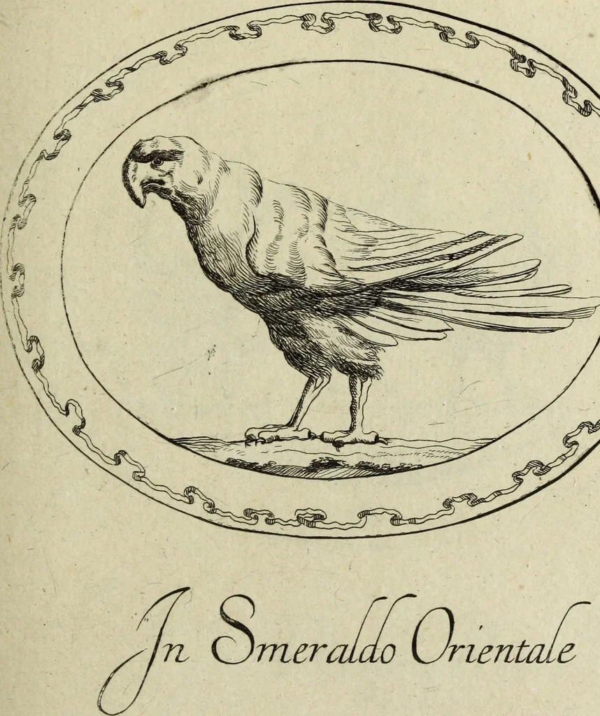 An illustration from Gemmae et sculpturae antiquae, 1694, leaf 534