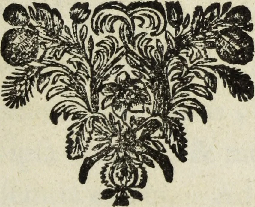 An illustration from Gemmae et sculpturae antiquae, 1694, leaf 6