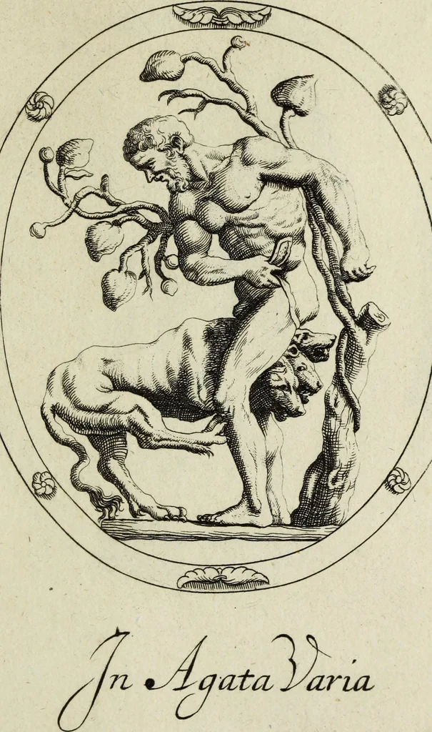 An illustration from Gemmae et sculpturae antiquae, 1694, leaf 652