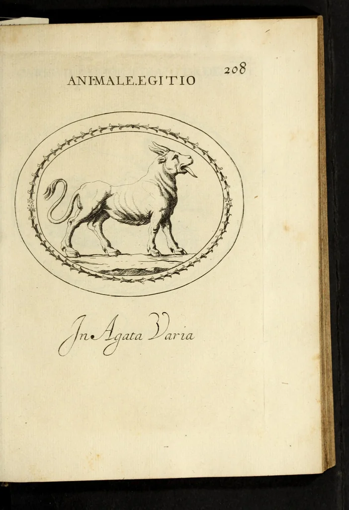 An illustration from Gemmae et sculpturae antiquae depictae, 1694, leaf 529