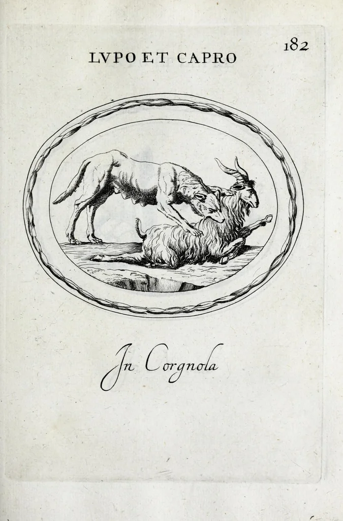 An illustration from Gemmae et sculpturae antiquae depictae ab Leonardo Augustino Senensi : addita earum enarratione, 1685, leaf 505