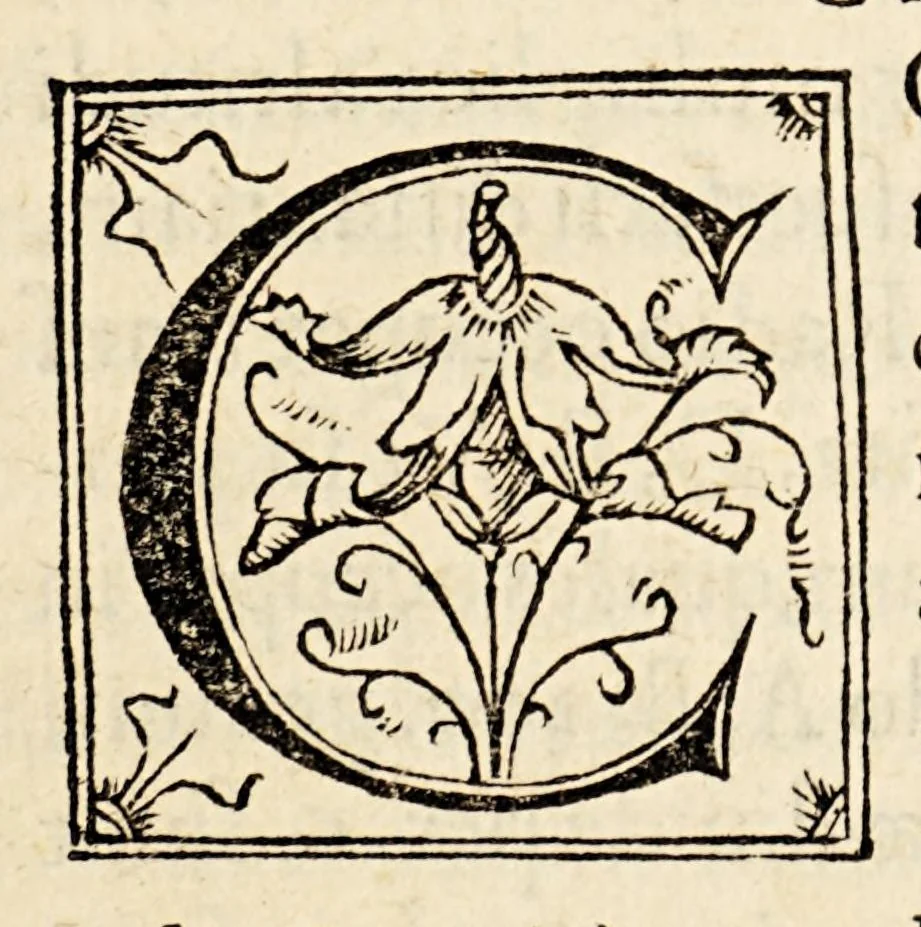 An illustration from Gemmae Frisii medici et mathematici De radio astronomico & geometrico liber. : in quo multa quae ad geographia[m], opticam, geometriam & astronomiam vtiliss. sunt, demonstrantur. Illustriss[imi] comiti de Feria dicatus, 1545, leaf 107