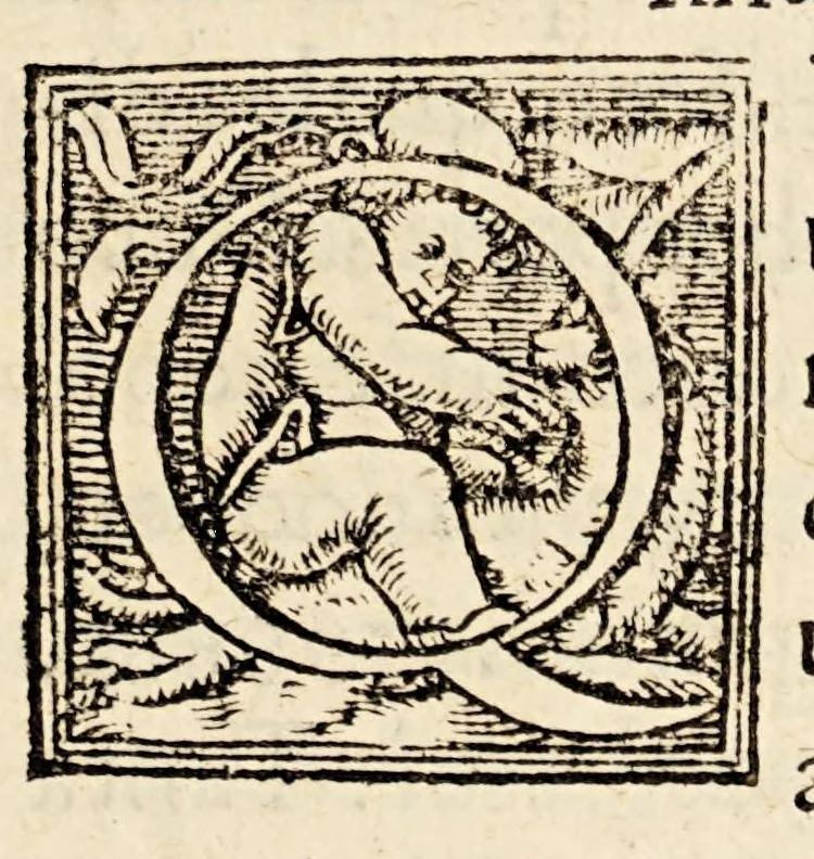 An illustration from Gemmae Frisii medici et mathematici De radio astronomico & geometrico liber. : in quo multa quae ad geographia[m], opticam, geometriam & astronomiam vtiliss. sunt, demonstrantur. Illustriss[imi] comiti de Feria dicatus, 1545, leaf 119