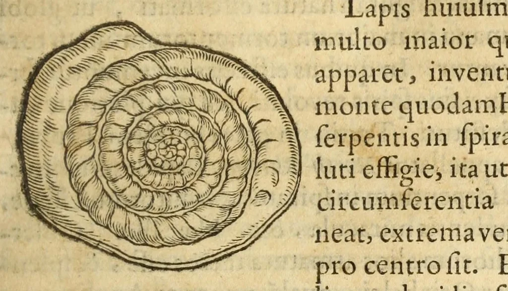 An illustration from Gemmarum et lapidum historia, 1647, leaf 175