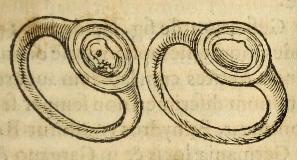 An illustration from Gemmarum et lapidum historia, 1647, leaf 183