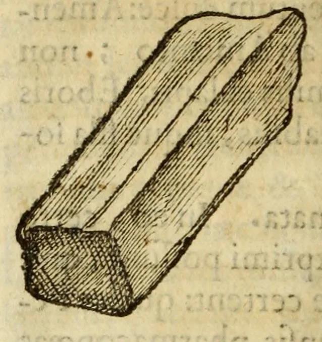 An illustration from Gemmarum et lapidum historia, 1647, leaf 188