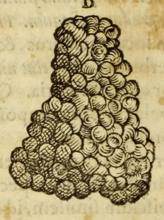 An illustration from Gemmarum et lapidum historia, 1647, leaf 214