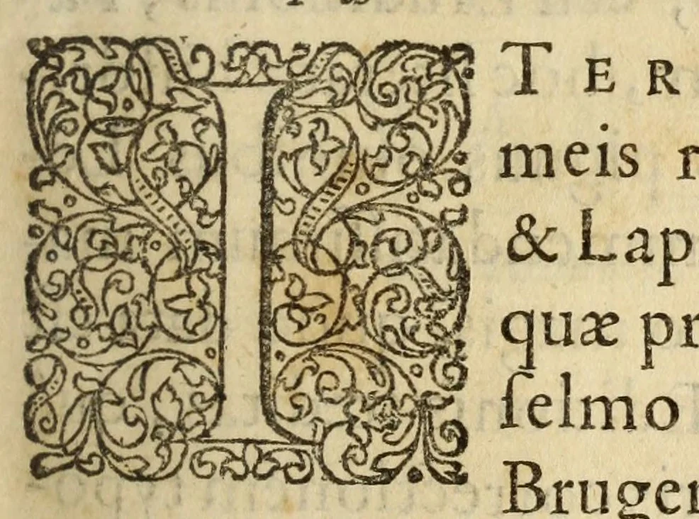 An illustration from Gemmarum et lapidum historia, 1647, leaf 287