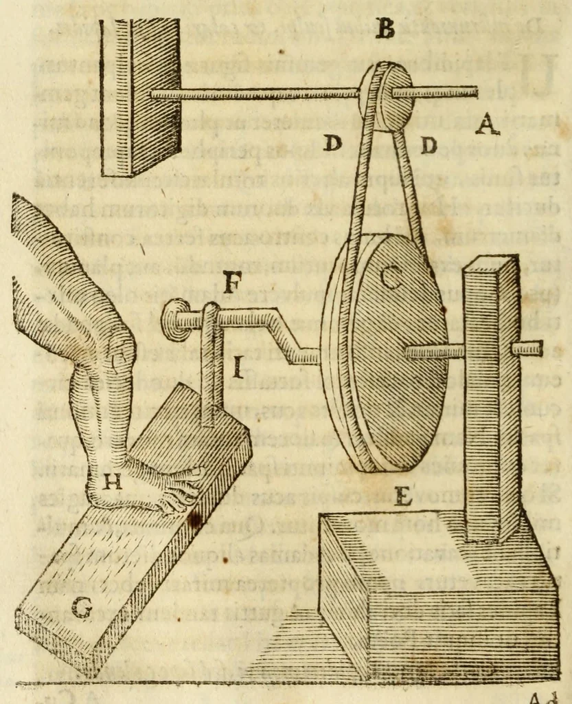 An illustration from Gemmarum et lapidum historia, 1647, leaf 374