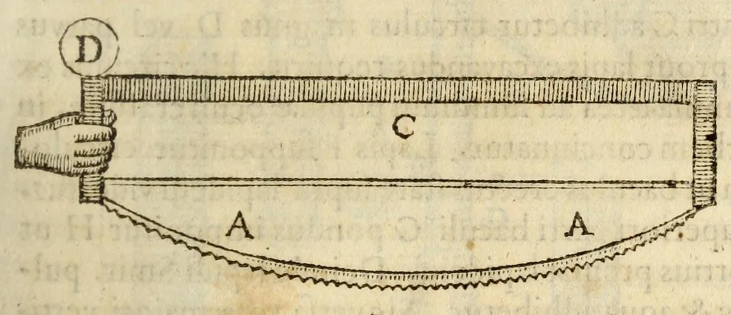An illustration from Gemmarum et lapidum historia, 1647, leaf 375
