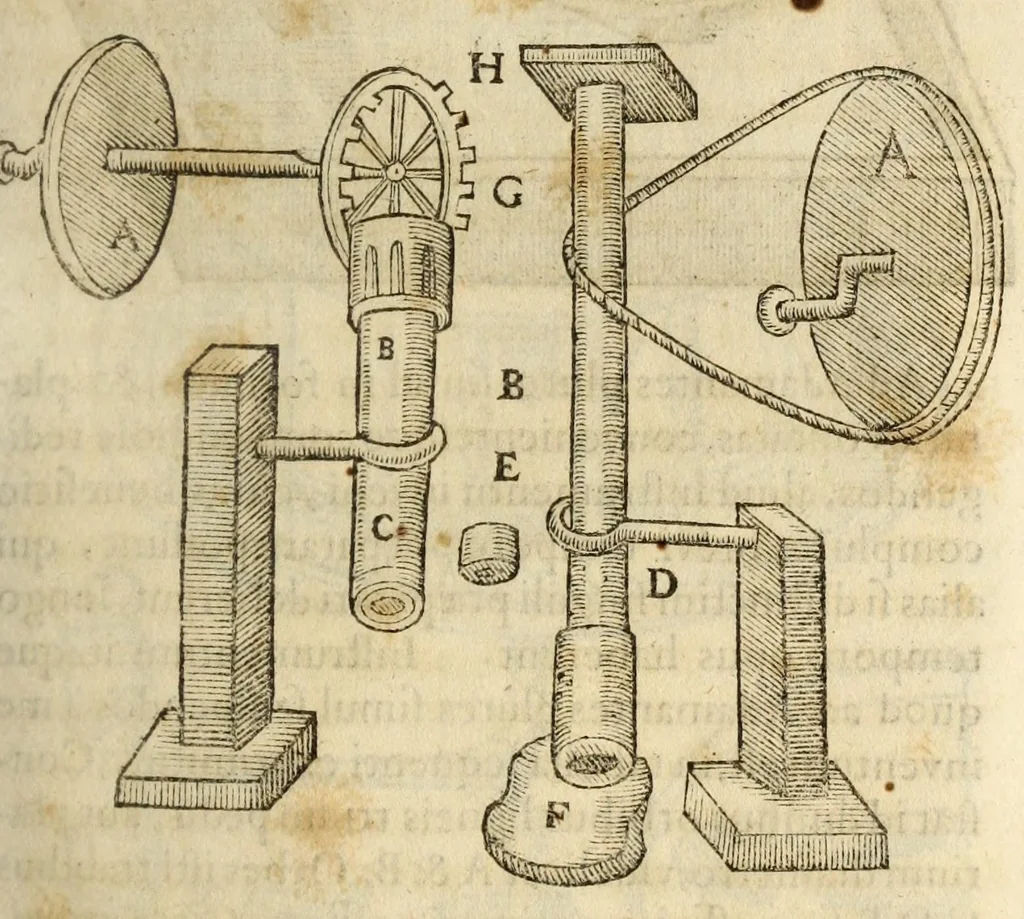 An illustration from Gemmarum et lapidum historia, 1647, leaf 377