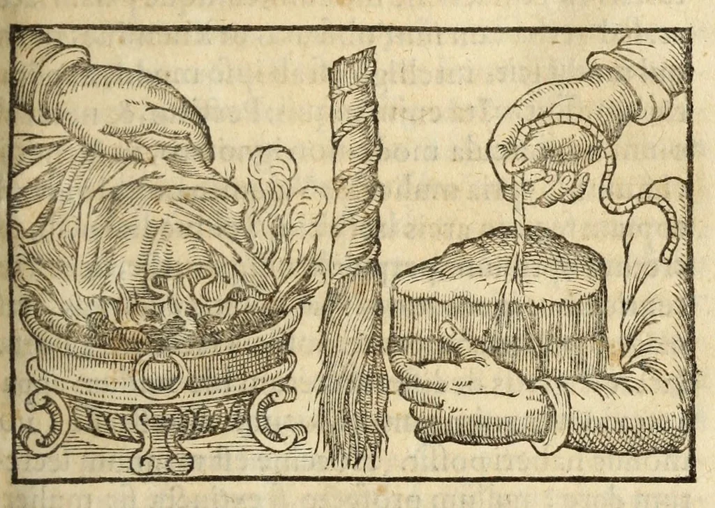 An illustration from Gemmarum et lapidum historia, 1647, leaf 681