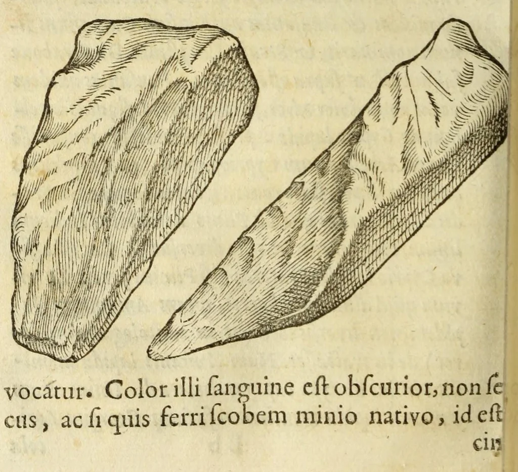 An illustration from Gemmarum et lapidum historia, 1647, leaf 684