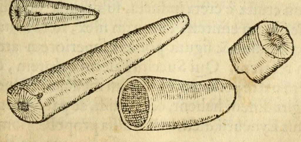 An illustration from Gemmarum et lapidum historia, 1647, leaf 775