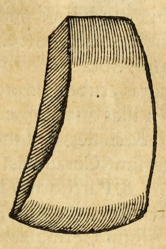 An illustration from Gemmarum et lapidum historia, 1647, leaf 781