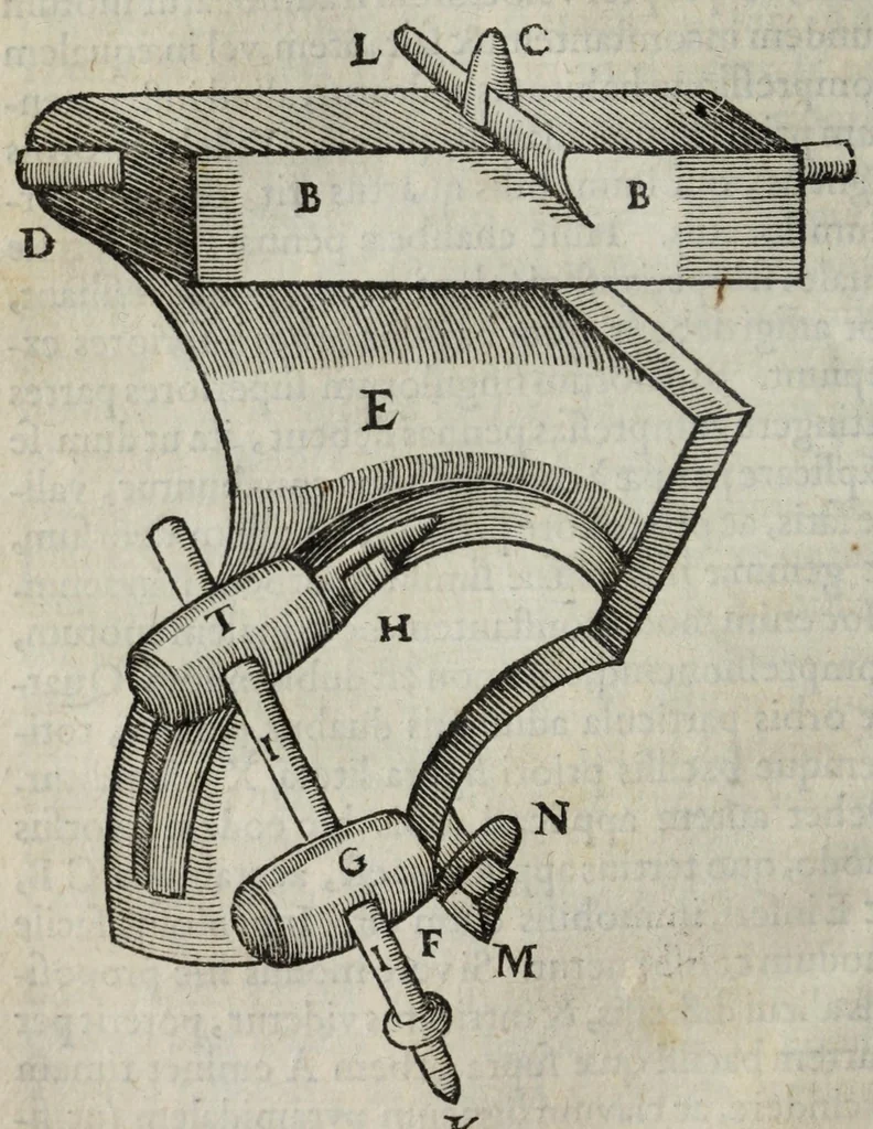 An illustration from Gemmarum et lapidum historia., 1636, leaf 102