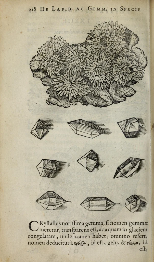 An illustration from Gemmarum et lapidum historia., 1636, leaf 236