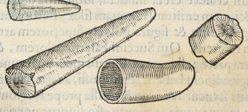 An illustration from Gemmarum et lapidum historia., 1636, leaf 495