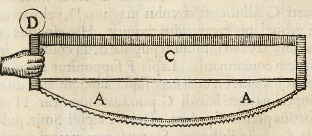 An illustration from Gemmarum et lapidum historia., 1636, leaf 95