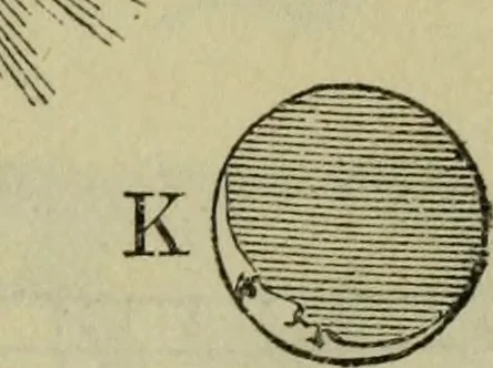 An illustration from The gems of masonry : emblematic and descriptive, 1859, leaf 16