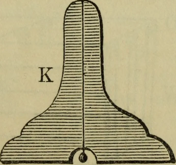 An illustration from The gems of masonry : emblematic and descriptive, 1859, leaf 24