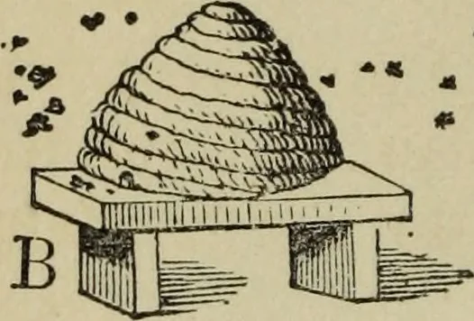 An illustration from The gems of masonry : emblematic and descriptive, 1859, leaf 45