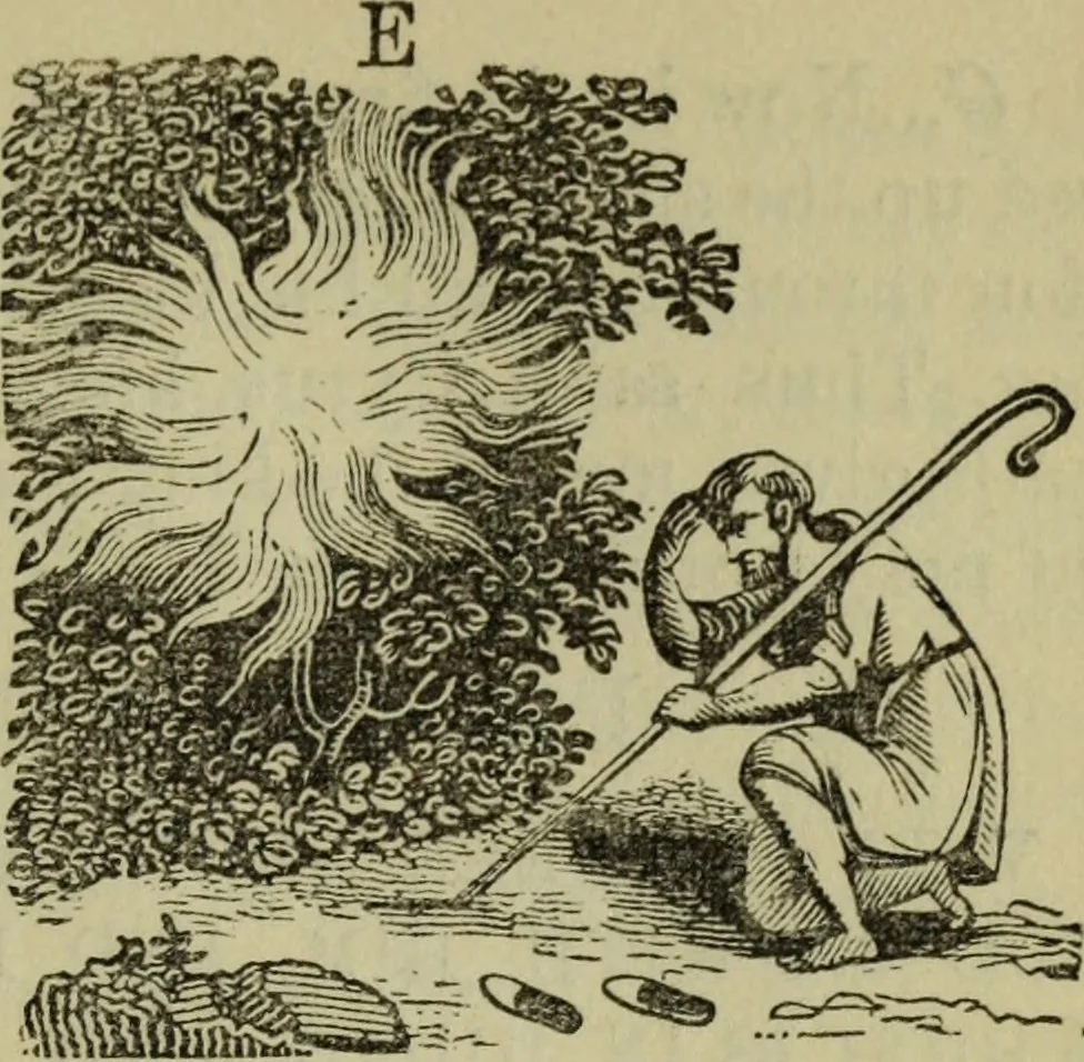 An illustration from The gems of masonry : emblematic and descriptive, 1859, leaf 60