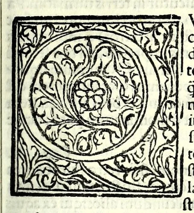 An illustration from Genealogiae Joannis Boccatii : cum demonstrationibus in formis arborũ designatis : eiusdẽ de mõtibus [et] syluis, de fontibus, lacubus [et] fluminibus : ac etiã de stagnis [et] paludibus, necnon [et] de maribus, seu diuersis maris nominibus, 1511, leaf 117