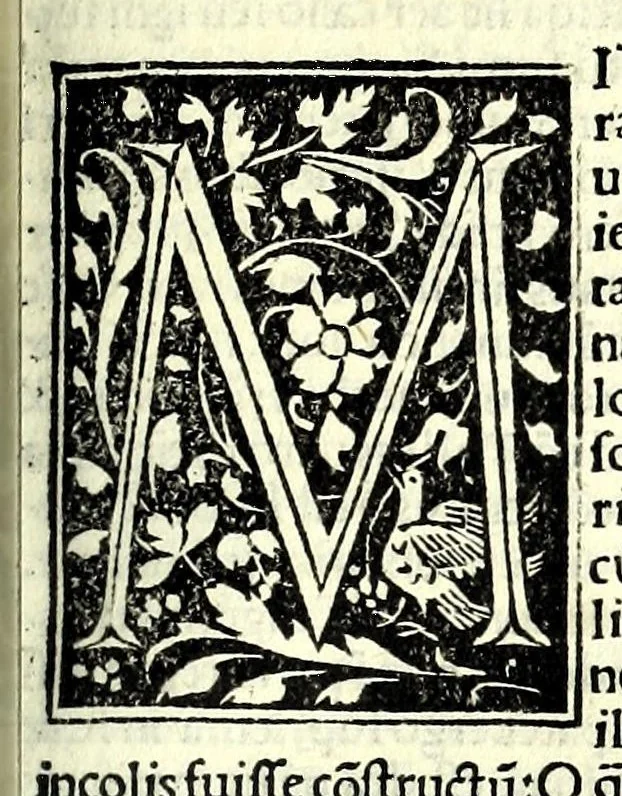 An illustration from Genealogiae Joannis Boccatii : cum demonstrationibus in formis arborũ designatis : eiusdẽ de mõtibus [et] syluis, de fontibus, lacubus [et] fluminibus : ac etiã de stagnis [et] paludibus, necnon [et] de maribus, seu diuersis maris nominibus, 1511, leaf 141