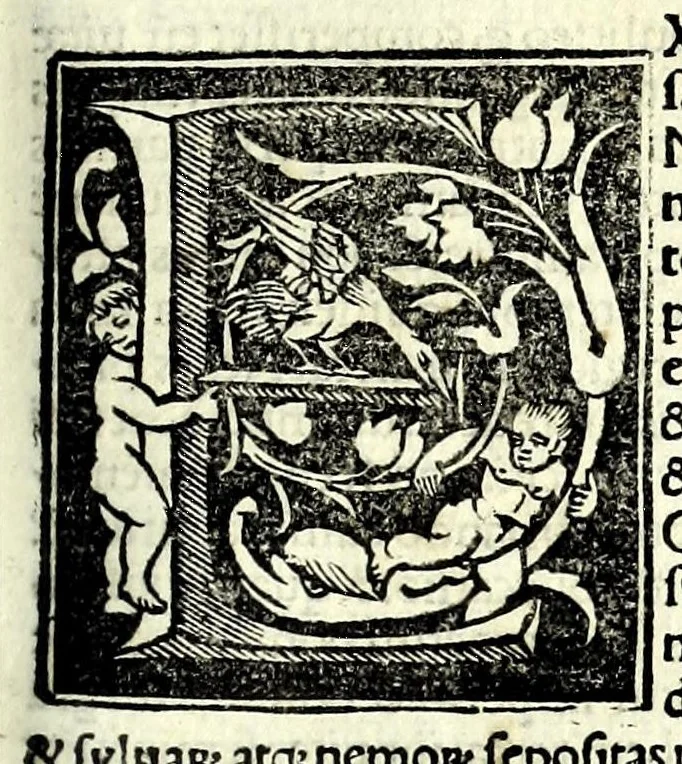 An illustration from Genealogiae Joannis Boccatii : cum demonstrationibus in formis arborũ designatis : eiusdẽ de mõtibus [et] syluis, de fontibus, lacubus [et] fluminibus : ac etiã de stagnis [et] paludibus, necnon [et] de maribus, seu diuersis maris nominibus, 1511, leaf 169