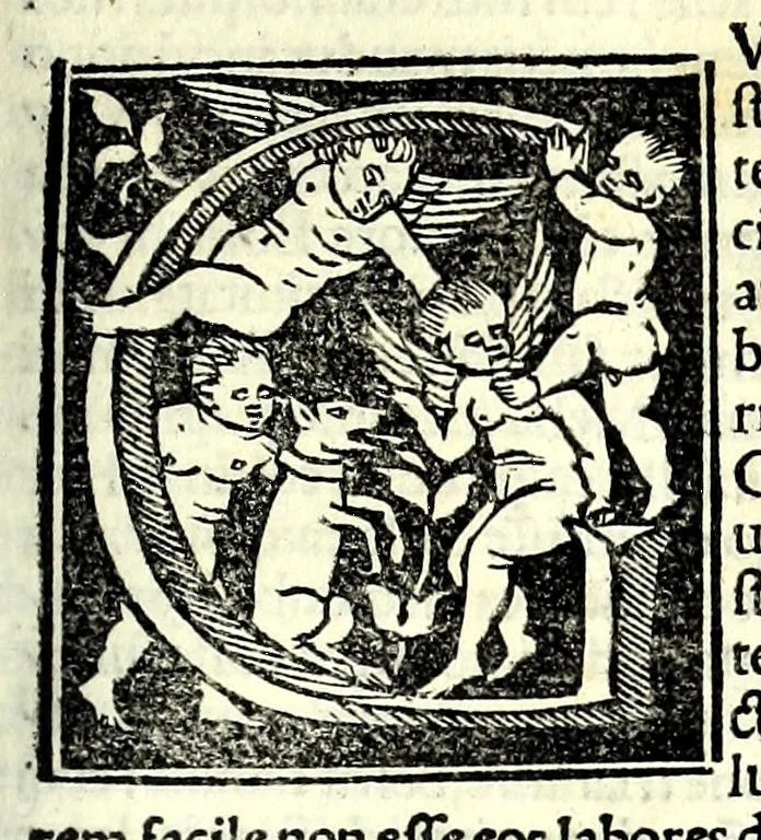 An illustration from Genealogiae Joannis Boccatii : cum demonstrationibus in formis arborũ designatis : eiusdẽ de mõtibus [et] syluis, de fontibus, lacubus [et] fluminibus : ac etiã de stagnis [et] paludibus, necnon [et] de maribus, seu diuersis maris nominibus, 1511, leaf 199