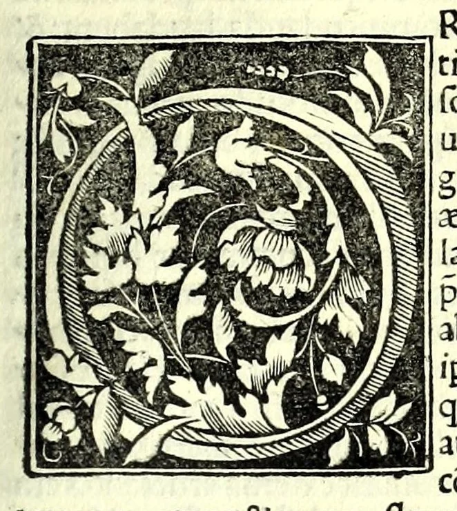 An illustration from Genealogiae Joannis Boccatii : cum demonstrationibus in formis arborũ designatis : eiusdẽ de mõtibus [et] syluis, de fontibus, lacubus [et] fluminibus : ac etiã de stagnis [et] paludibus, necnon [et] de maribus, seu diuersis maris nominibus, 1511, leaf 211