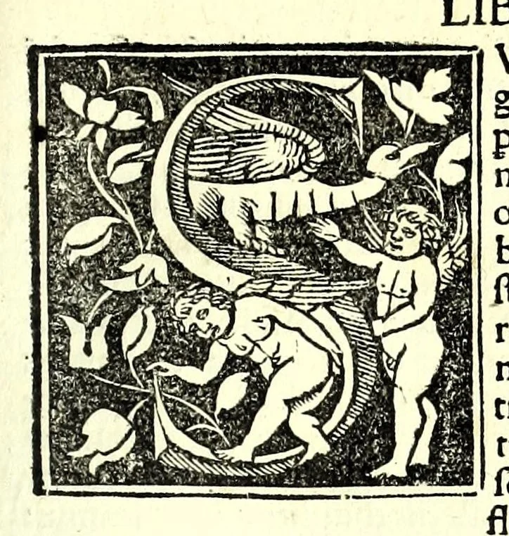 An illustration from Genealogiae Joannis Boccatii : cum demonstrationibus in formis arborũ designatis : eiusdẽ de mõtibus [et] syluis, de fontibus, lacubus [et] fluminibus : ac etiã de stagnis [et] paludibus, necnon [et] de maribus, seu diuersis maris nominibus, 1511, leaf 25